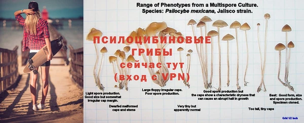 MDMA Алексеевка