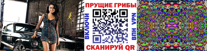 хочу наркоту  Жуковка  Псилоцибиновые грибы Cubensis 